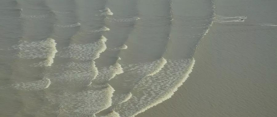 比去年大!八月十八钱塘江大潮来了!这份最全观潮攻略请收好