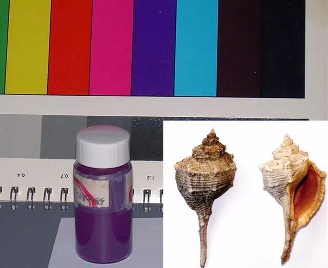 木乃伊棕、骨螺紫、印度黄......那些不忍直视的重口颜料