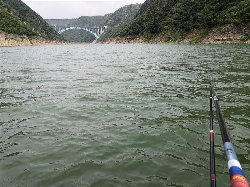 左手大鲤右手大翘我的鱼获超给力