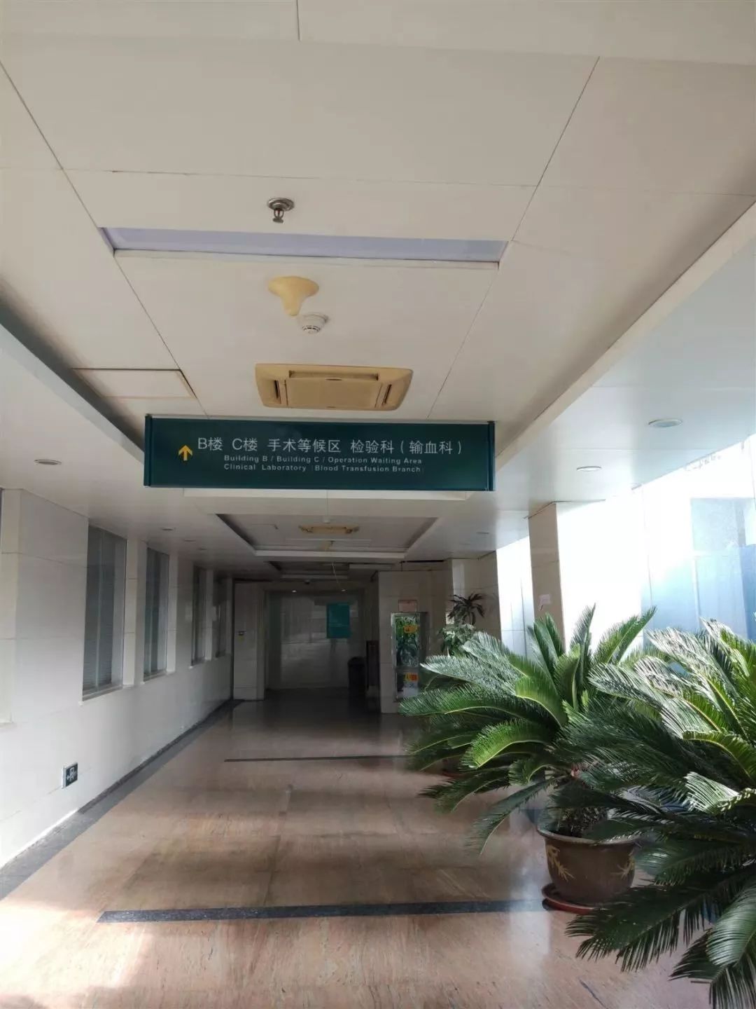 天津肿瘤医院如何网上图文问诊,现在能去天津市肿瘤医院就医吗