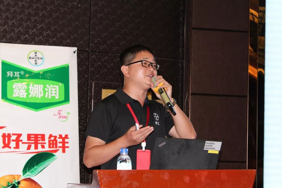 特早蜜桔前景,特早蜜桔一亩多少利润