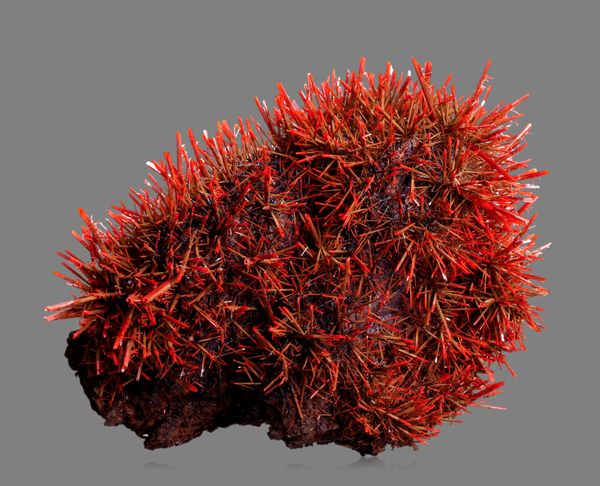 谁还不是个小可爱呢下一句,谁还不是小可爱