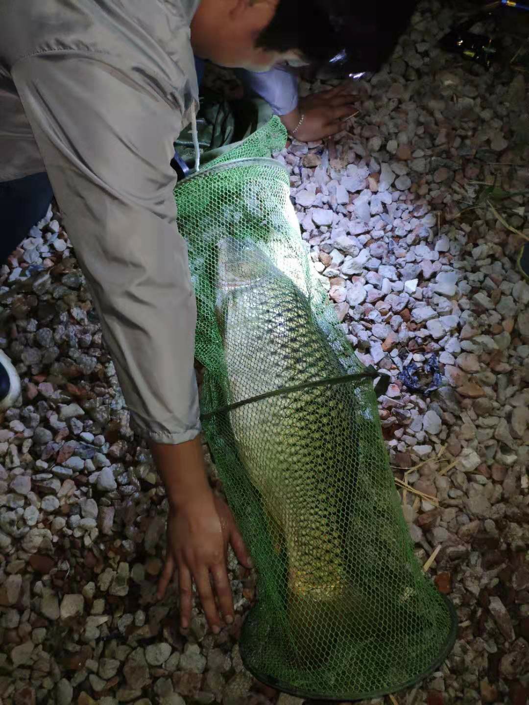 潮白河钓鱼饵料配方,潮白河鱼饵配方