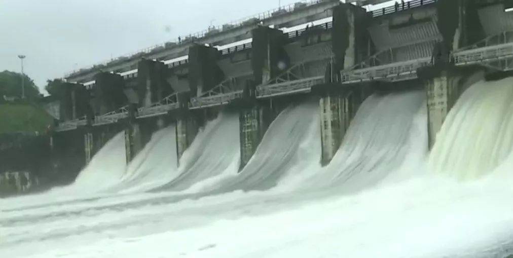 印度人为了求雨给青蛙办婚礼 (印度青蛙办婚礼求雨)
