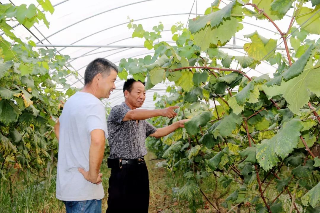 聚焦美丽乡村面貌提升,聚焦美丽乡村建设