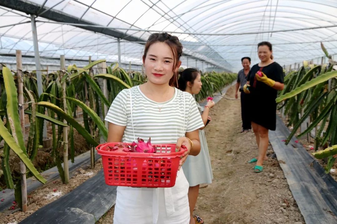 聚焦美丽乡村面貌提升,聚焦美丽乡村建设