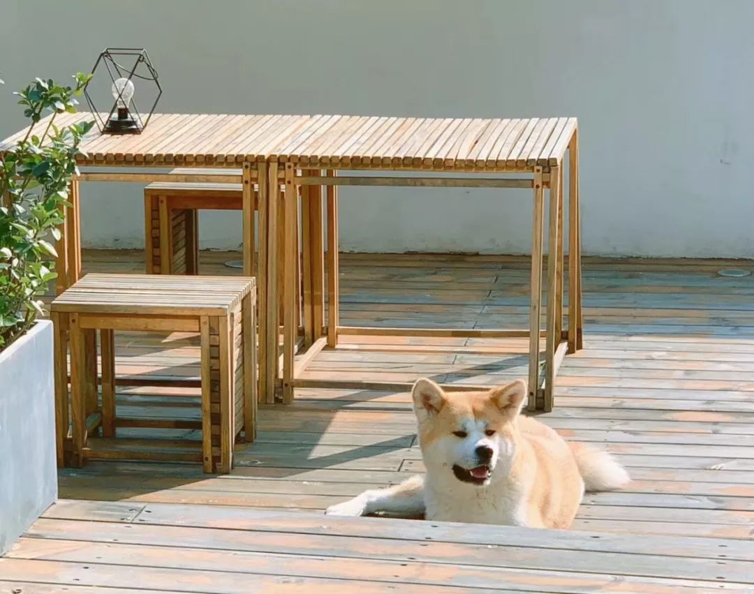 辞职后花100多万开民宿是什么体验,辞职开客栈合法吗