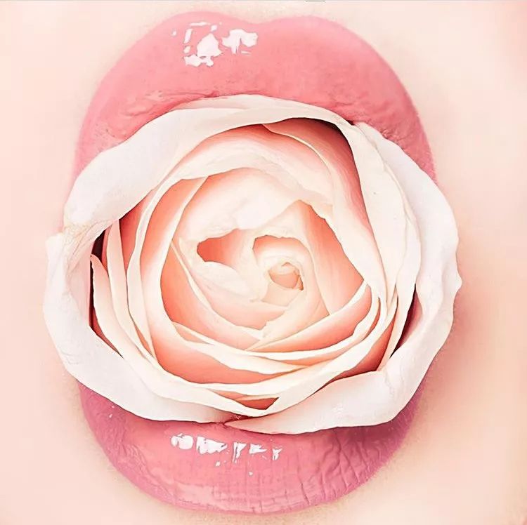 又美又好用的小众洗护,藏着你对生活的细腻追求