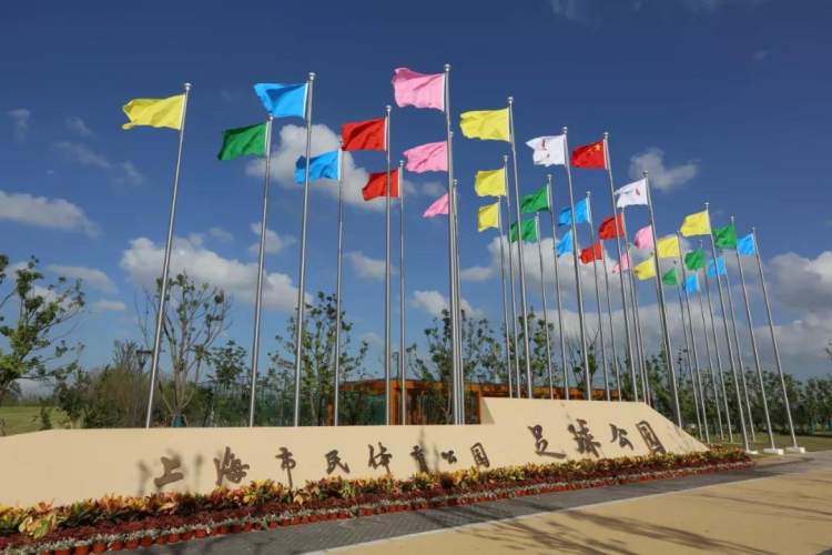 上海宝山区免费篮球场,上海市民体育公园图片