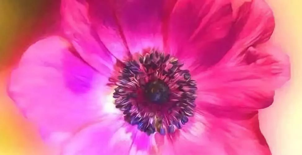 哲理小故事大启发短篇,课堂演讲的哲理小故事大启发