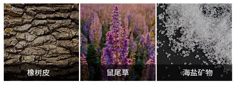 团购|俄罗斯亮白牙膏组合，轻松瓦解多年牙垢，清新口气告别黄牙