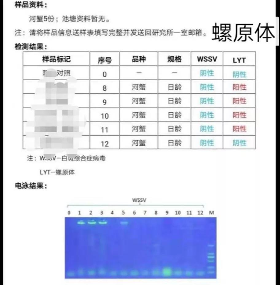 河蟹死了如何保鲜,河蟹养殖倒藻怎么办呢