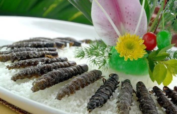 四川各地特色美食，每一个都让人念念不忘口水直流