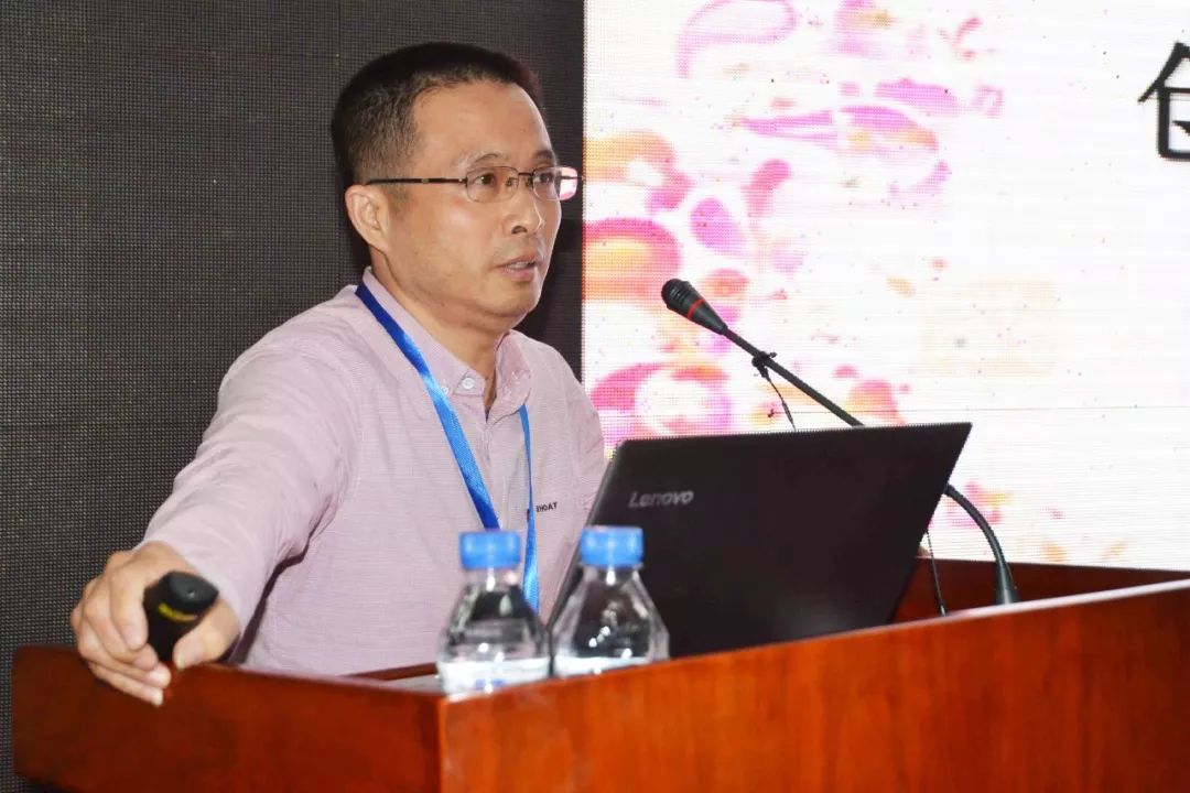 聚焦|“纺织之光”科技成果再进辽源，助力袜业升级