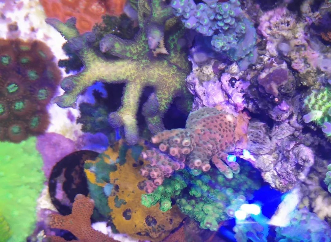 40小缸全套,40的方缸用多大的过滤桶