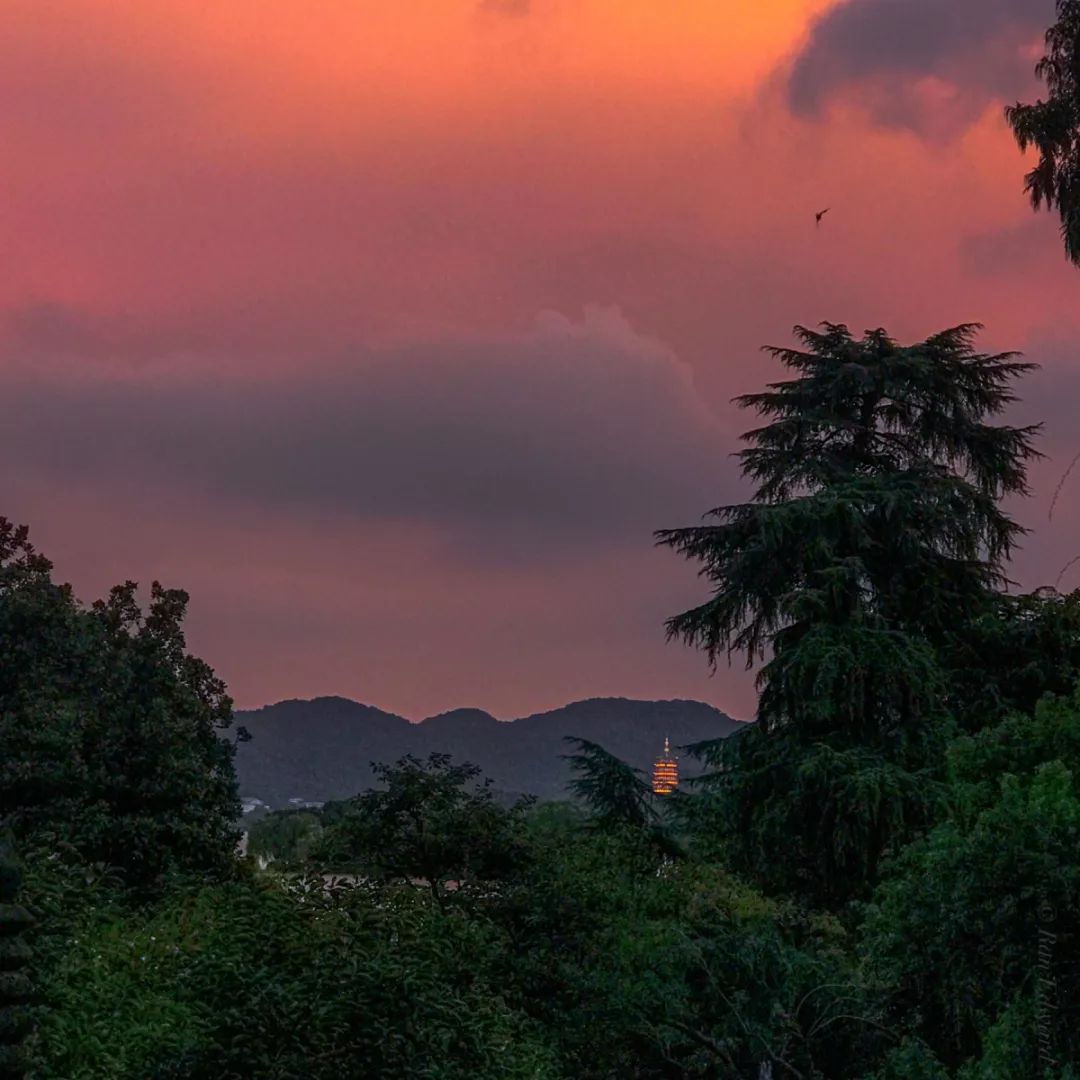 杭州风怎么这么大,杭州怎么经常刮大风