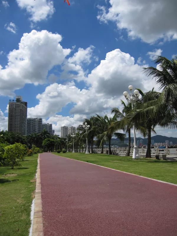 珠海|Onenightin珠海，你为了什么会留下来？