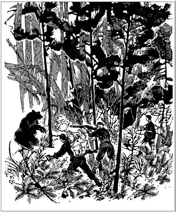 沈从文贾平凹莫言,贾平凹和沈从文的关系