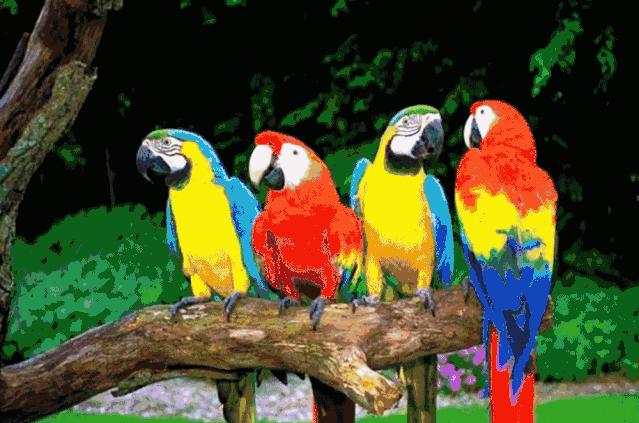 畅玩云南,畅玩永鸿动物园