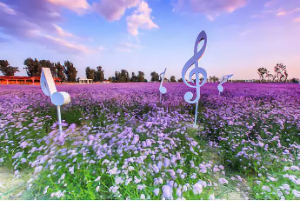 涓板彴閲戠鏂囧寲鏃呮父鏀荤暐,閲戠涓板彴璧忕帺鏀荤暐鍑虹倝