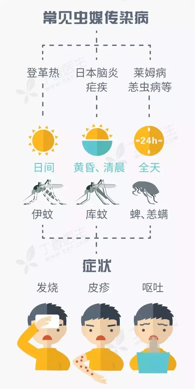 低毒室外灭蚊最有效的方法,最有效灭蚊的方法