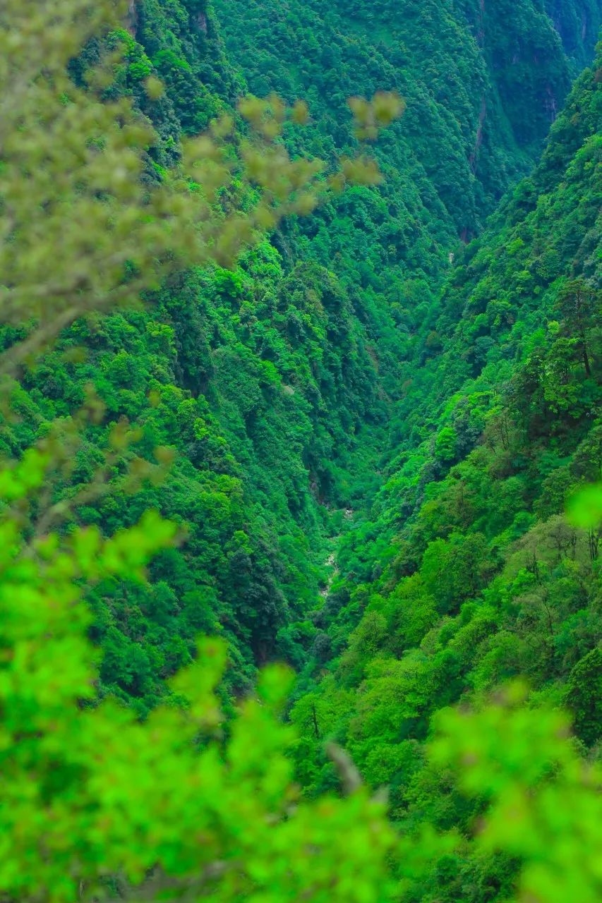 中国国家地理评选出的最美地方,国家地理评选中国最美100地