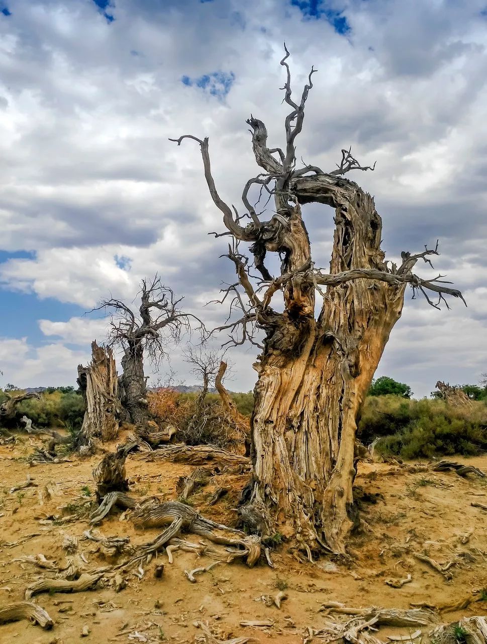 国家地理评选中国最美风景,国家地理评选中国最美100地