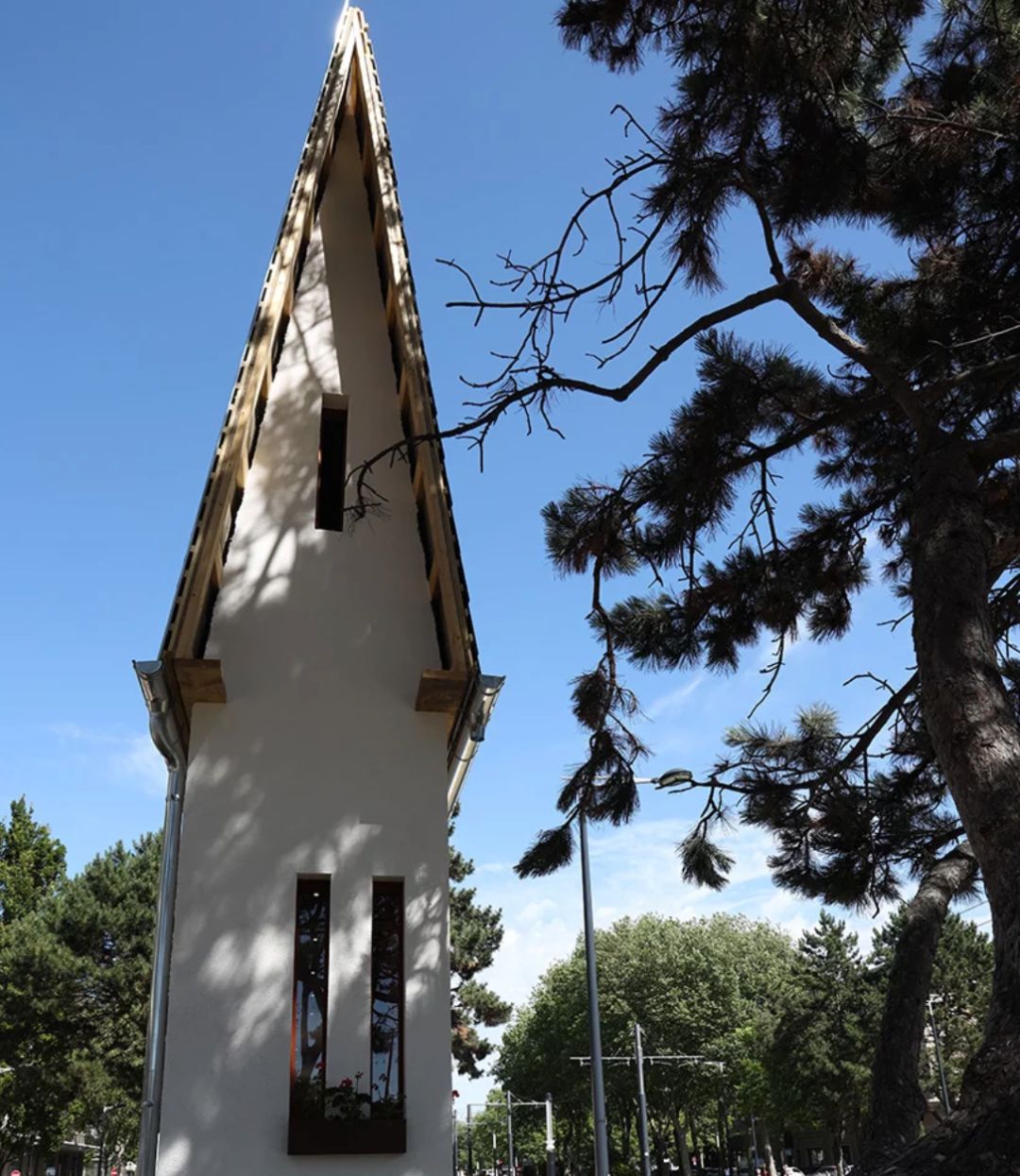 孙杨骚操作,孙杨身穿豹纹泳裤视频