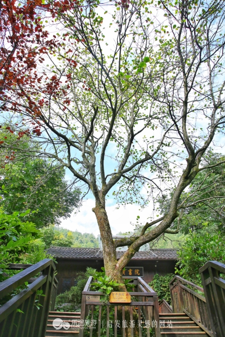 张家界森林公园自由行住宿推荐,张家界国家森林公园旅游住宿攻略