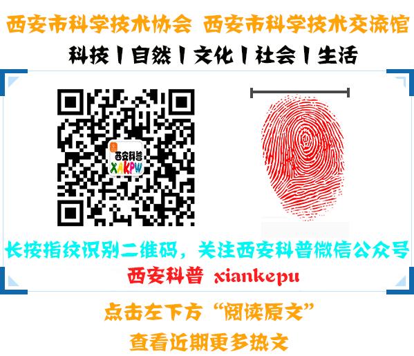 什么耳朵有福什么耳朵没福,女人耳朵大有福还是耳朵小有福