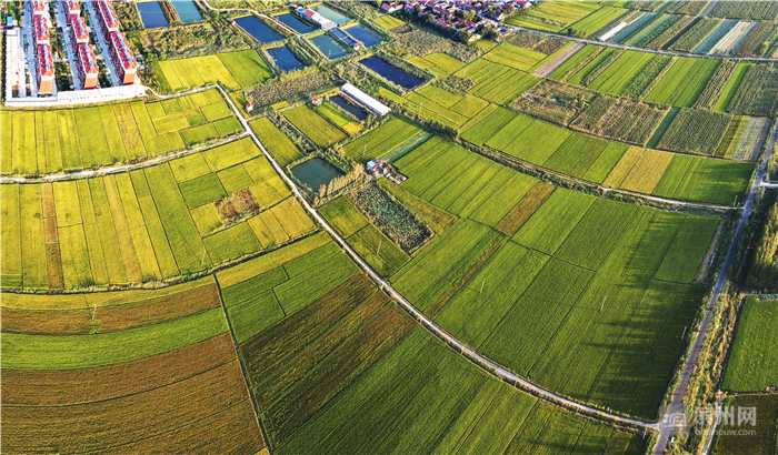 飞越滨州高新区：改革先行区厚植沿黄“城市之肺”