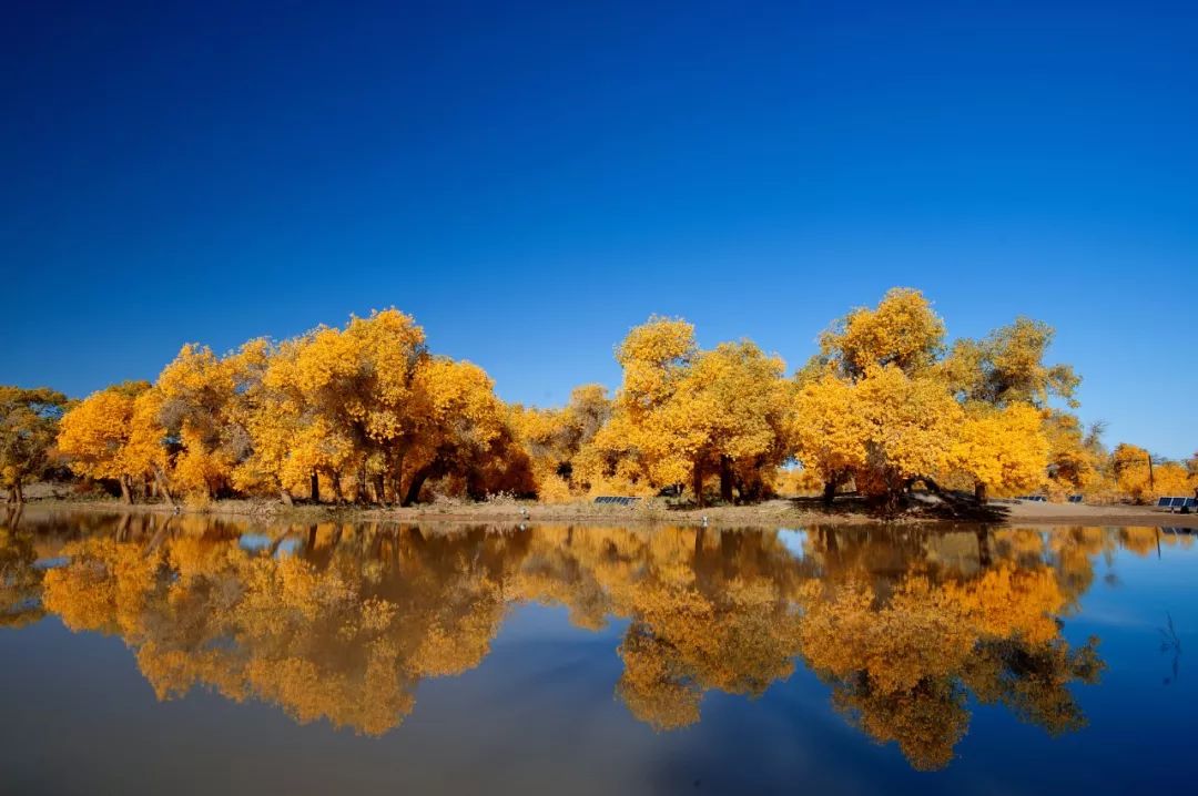 包头去额济纳胡杨林攻略,广州到额济纳胡杨林攻略