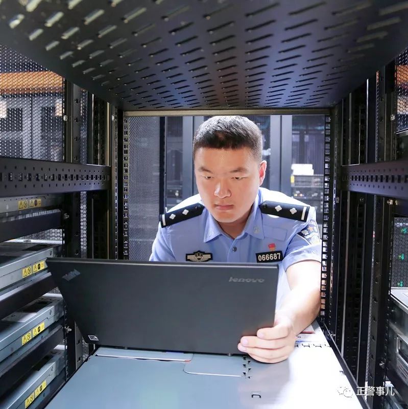 守护者2017在线观看,守护者72集