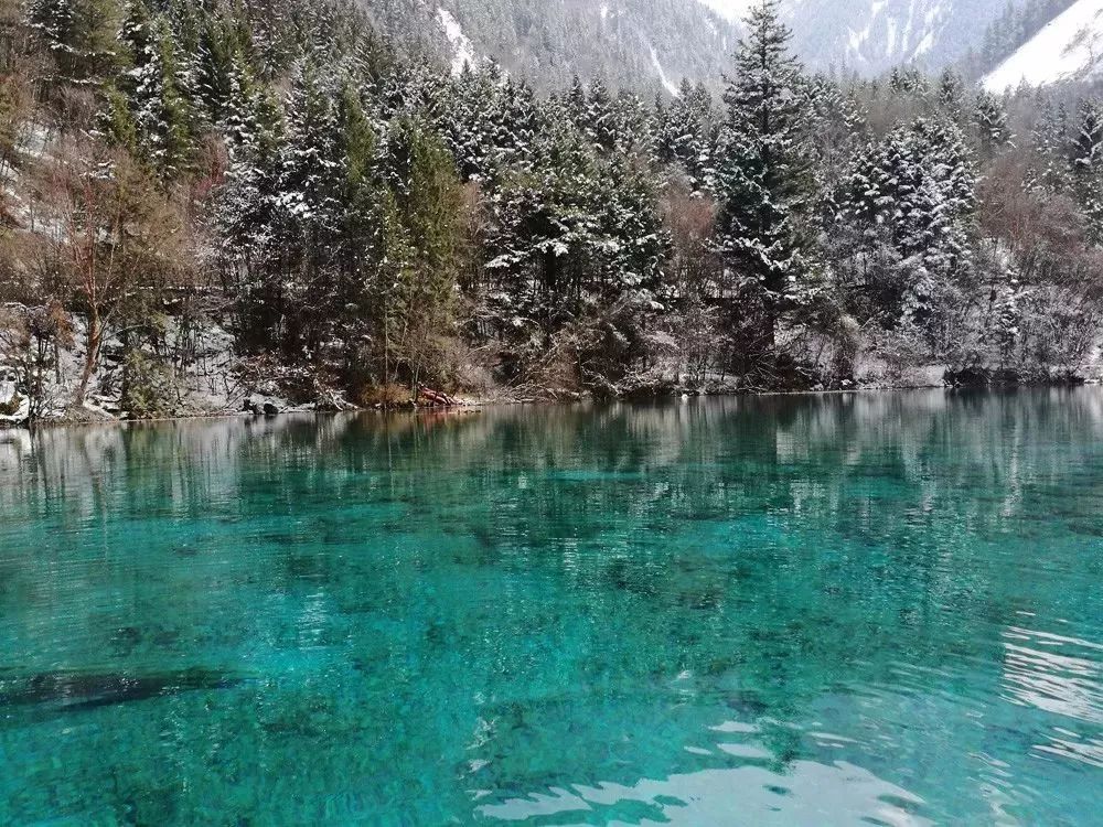 九寨沟恢复开园,九寨沟恢复迎客首游现场直播