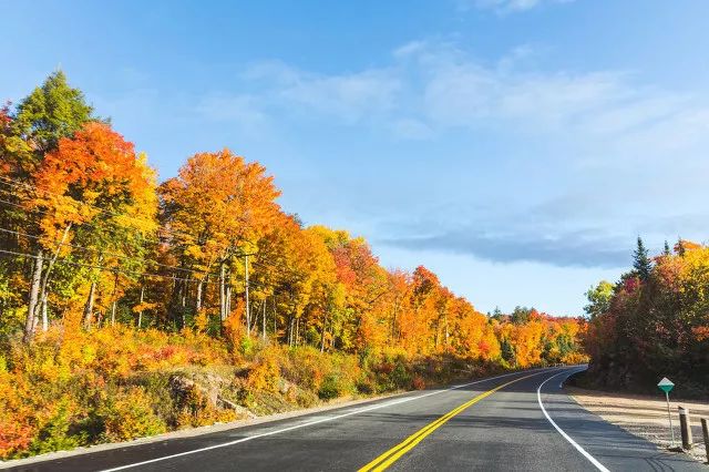 80%的人都想不到的赏秋好去处,不能错过的日本赏枫胜地