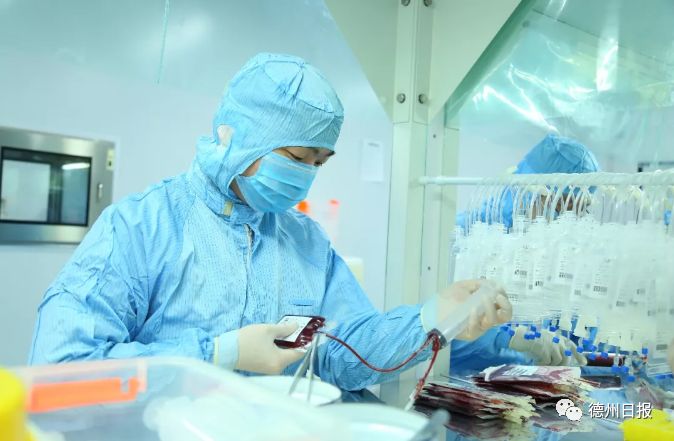 恶性肿瘤用脐带血可以治疗吗,脐带血能治恶性肿瘤母细胞瘤吗