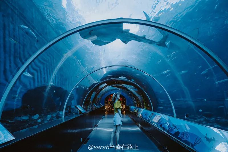 新加坡圣淘沙鱼尾狮为什么拆除,新加坡鱼尾狮为什么修二个月