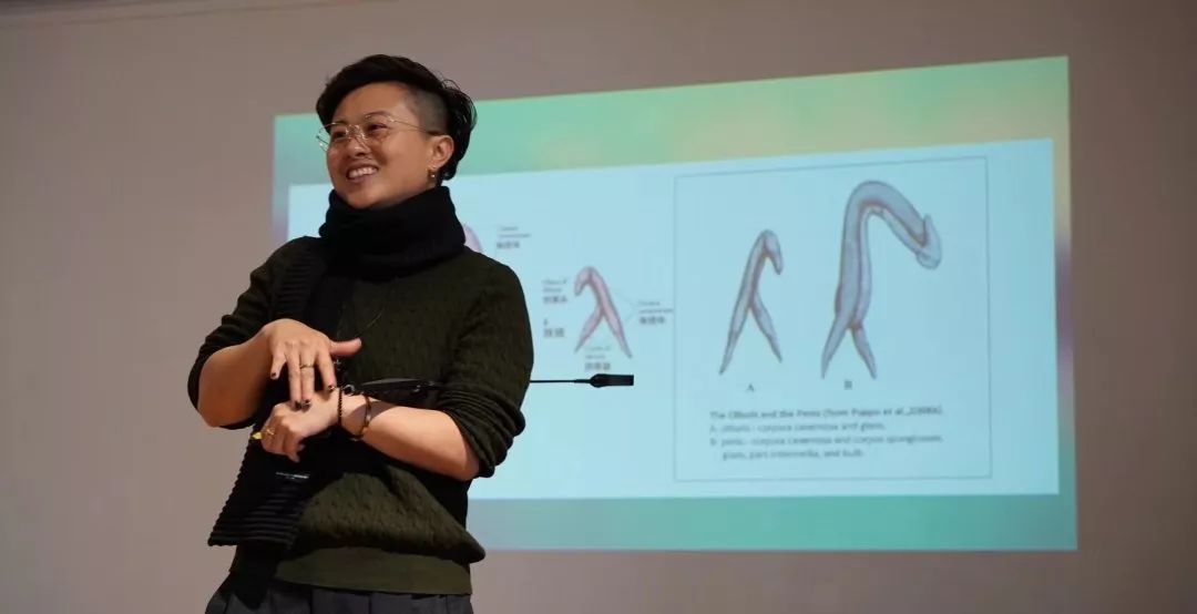 成年人最高级的爱情观完整版,成年人最高级的恋爱观