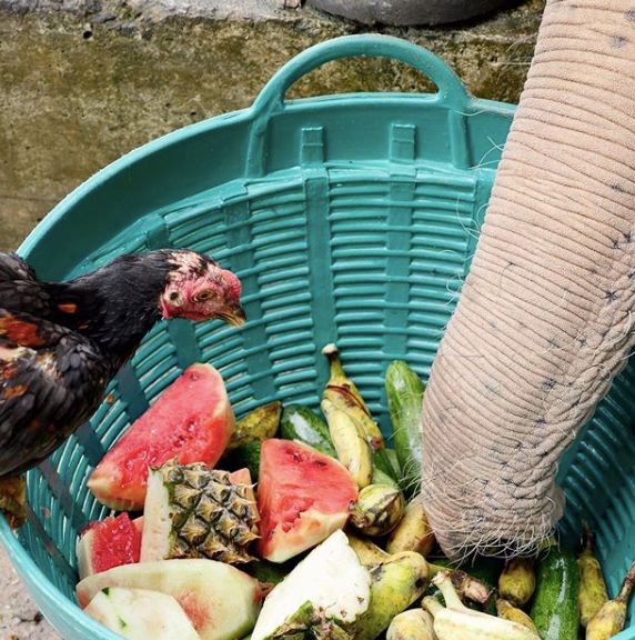 在普吉岛怎么玩,在普吉岛要注意什么