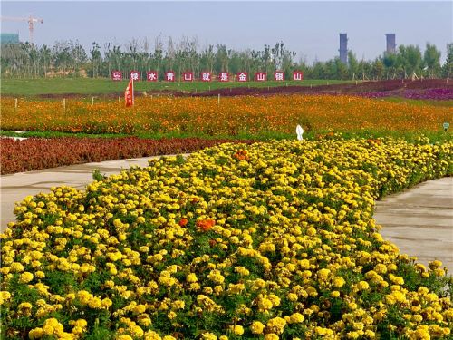 唐三其实是什么模样,唐山是美丽之城吗