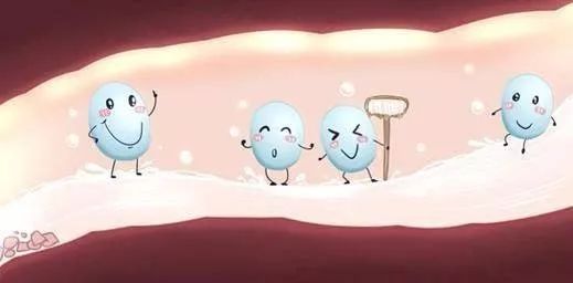 益生菌酸奶能长期喝吗,益生菌有害