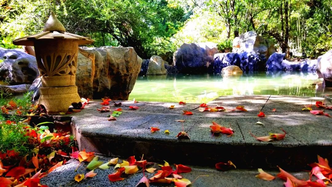 壮丽70年|国庆黄金周，您有一份来自昆明的礼物请查收