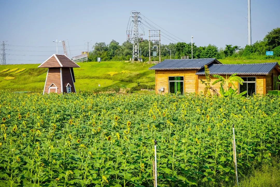 佛山南海区地铁沿线游玩好去处,佛山南海顺德一天游攻略