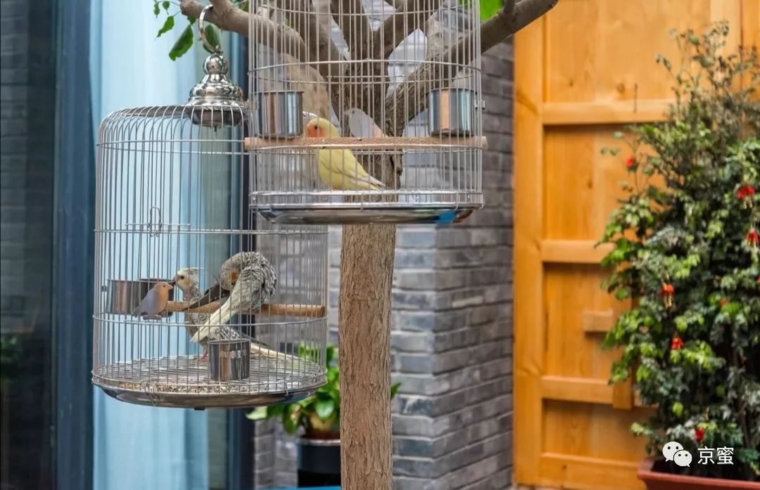 北京特色民宿攻略,玩转北京旅游攻略视频大全