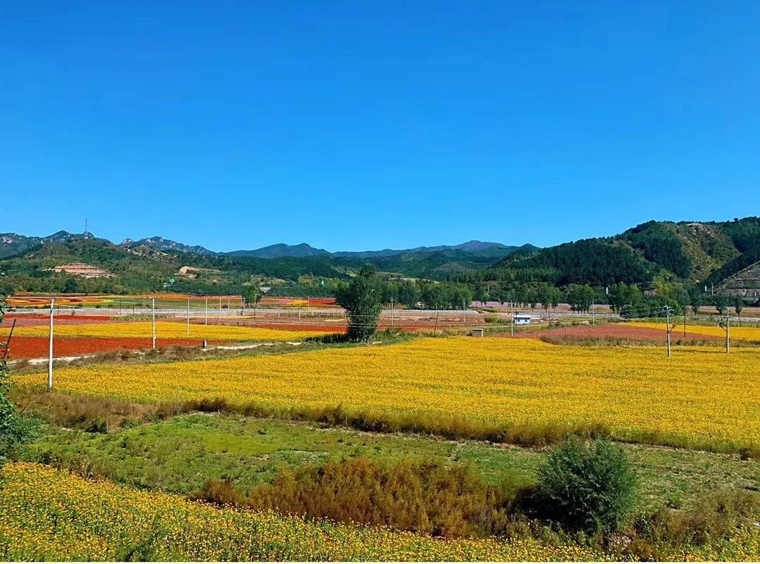 鎵垮痉鍏撮殕娓╂硥搴峰吇鍏瘬,鎵垮痉搴﹀亣鍏瘬