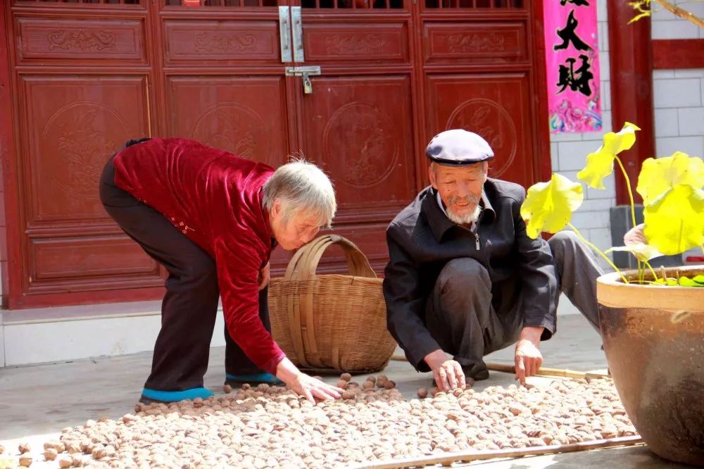 文明实践亮出最美风景线,新时代文明实践站掠影展板