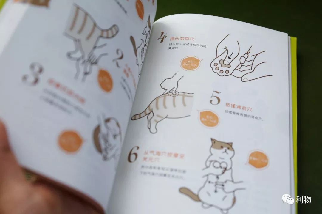 好物分享秋季爆款,秋秋好物分享推荐