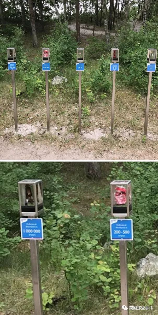 最有创意的环保设计 (设计一个环保小妙招)