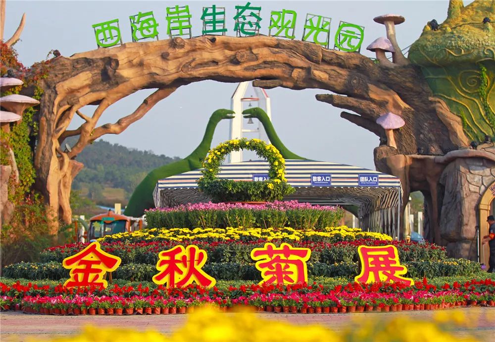 西海岸菊花展时间,西海岸菊展