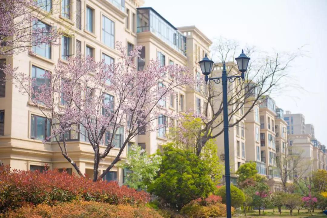 白鹭金岸新商铺,白鹭金岸6万平商业